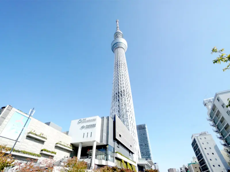 チェックアウト